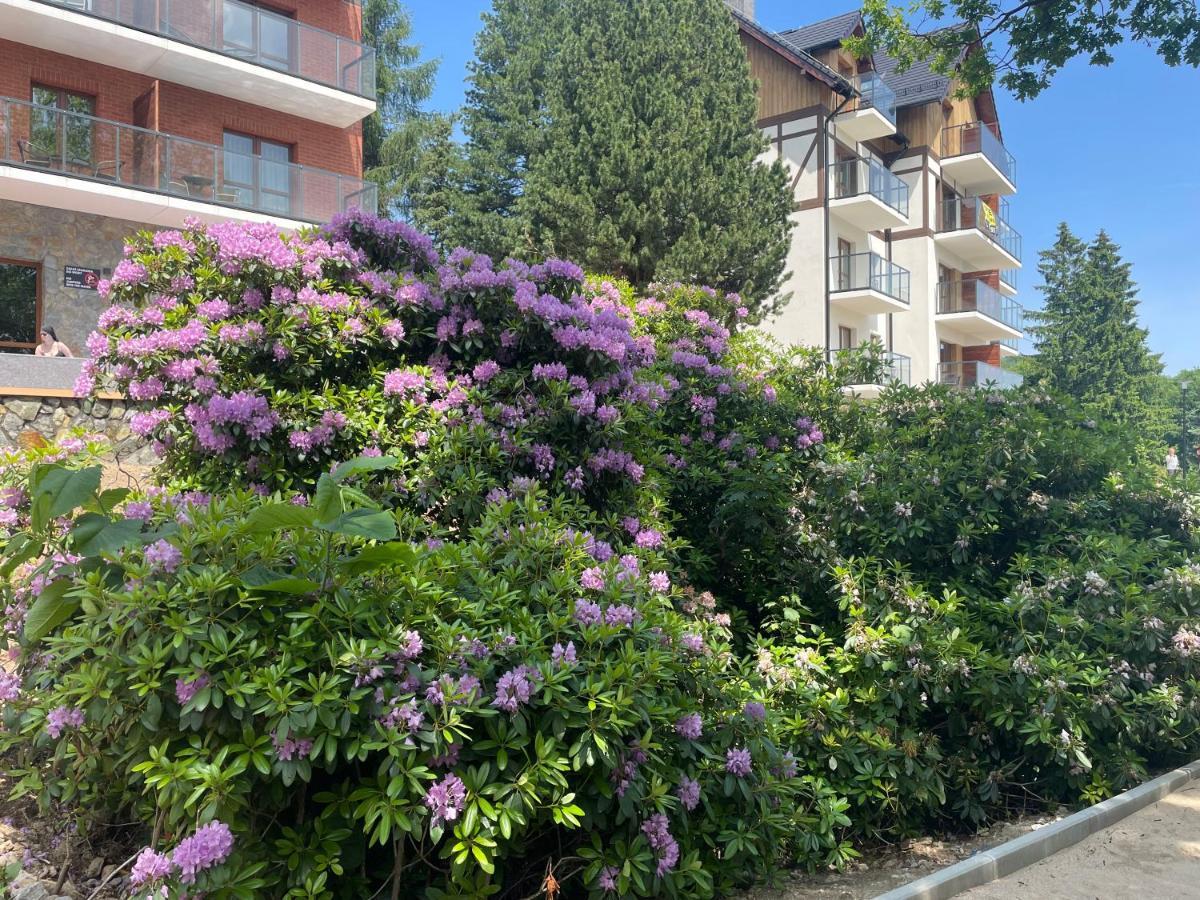 Apartament N&B Szklarska Poręba Kültér fotó